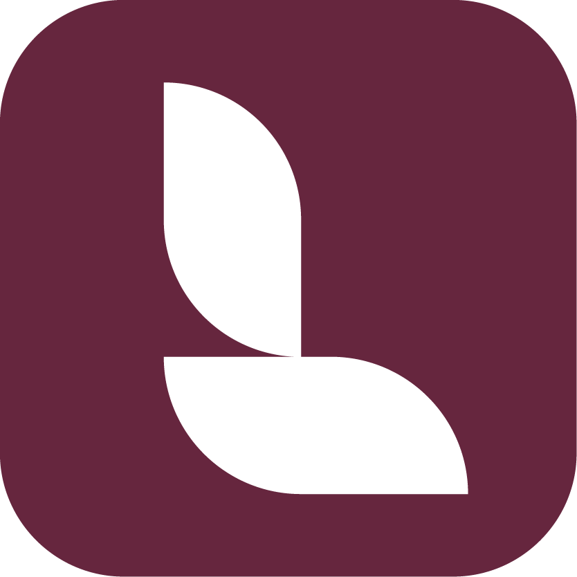 Lumion-View-software-icon CZ